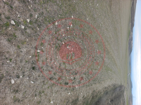 Eskişehir Alpu Özdenk Mahallesi Milli Emlak'tan Satılık 2.188,03 m2 Tarla