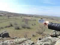 Kırklareli Merkez Karakoç Köyü Milli Emlak'tan Satılık 2.875,13 m2 Tarla