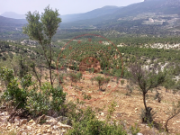 Karaman Merkez Kurucabel Köyü Milli Emlak'tan Satılık 14.318,30 m2 Tarla