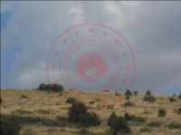 Yozgat Çayıralan Turlahan Köyü Milli Emlak'tan Satılık 1.839,81 m2 Tarla