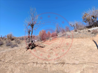 Bitlis Merkez Kurudere (Dereç) Köyü Milli Emlak'tan Satılık 597,41 m2 Tarla