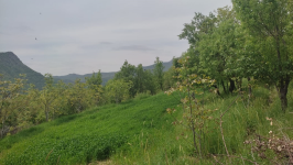 Bitlis Merkez Uçankuş (Leylekan) Köyü Milli Emlak'tan Satılık 550,00 m2 Tarla