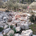 Muğla Fethiye Karaağaç Köyü Milli Emlak'tan Satılık 1.539,00 m2 Arsa