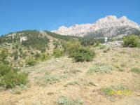 Konya Seydişehir Taraşçı Kasabası Milli Emlak'tan Satılık 3.310,05 m2 Tarla