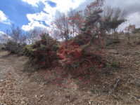 Amasya Merkez Saraycık Köyü Milli Emlak'tan Satılık 3.097,80 m2 Tarla