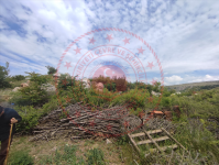 Amasya Merkez Ermiş Köyü Milli Emlak'tan Satılık 546,41 m2 Tarla