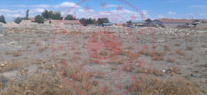 Konya Karatay Kızören Köyü Milli Emlak'tan Satılık 994,90 m2 Tarla