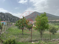 Antalya Döşemealtı Dağbeli - Cami Mahallesi Milli Emlak'tan Satılık 1.070,00 m2 Tarla