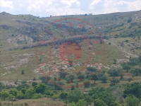Konya Selçuklu Sille Mahallesi Milli Emlak'tan Satılık 3.382,32 m2 Tarla