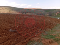 Kırıkkale Keskin Eminefendi Köyü Milli Emlak'tan Satılık 800,30 m2 Tarla