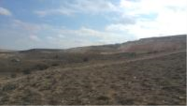 Karaman Merkez Siyahser Mahallesi Milli Emlak'tan Satılık 557,00 m2 Arsa