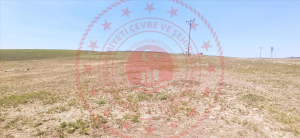 Kırıkkale Balışeyh Bıyıkaydın Köyü Milli Emlak'tan Satılık 3.221,00 m2 Tarla