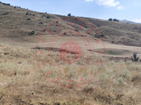 Bitlis Merkez Dörtağaç (Kamah) Köyü Milli Emlak'tan Satılık 2.390,73 m2 Tarla