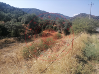 Aydın Nazilli Ocaklı Köyü Milli Emlak'tan Satılık 691,28 m2 Tarla