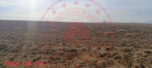 Konya Sarayönü Konar Köyü Milli Emlak'tan Satılık 43.534,46 m2 Tarla