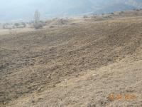 Erzurum Olur Merkez Milli Emlak'tan Satılık 7.336,66 m2 Tarla