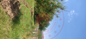 Malatya Kale Kıyıcak Milli Emlak'tan Satılık 399,14 m2 Tarla