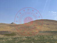 Van İpekyolu Yalınağaç Milli Emlak'tan Satılık 12.322,69 m2 Tarla