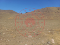 Kırıkkale Sulakyurt Çayoba Köyü Milli Emlak'tan Satılık 695,00 m2 Tarla