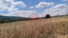 Çorum Ortaköy İncesu Köyü Milli Emlak'tan Satılık 6.600,00 m2 Tarla