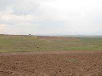 Kayseri Develi Çöten Mahallesi Milli Emlak'tan Satılık 18.230,80 m2 Tarla