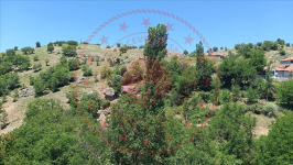 Tokat Zile Söğütözü Köyü Milli Emlak'tan Satılık 609,00 m2 Tarla