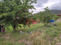 Amasya Merkez Kızseki Köyü Milli Emlak'tan Satılık 489,47 m2 Tarla