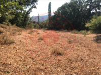 Çanakkale Yenice Akköy Köyü Milli Emlak'tan Satılık 12.891,71 m2 Tarla