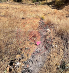 Bingöl Genç Yolaçtı Köyü Milli Emlak'tan Satılık 2.497,10 m2 Tarla