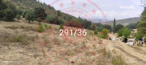 Bursa Orhaneli Esentepe Mahallesi Milli Emlak'tan Satılık 6.516,44 m2 Tarla