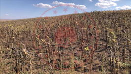 Çorum Alaca Büyükhırka Köyü Milli Emlak'tan Satılık 5.400,00 m2 Tarla