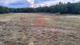 Çorum Alaca Yüksekyayla Köyü Milli Emlak'tan Satılık 4.537,56 m2 Tarla