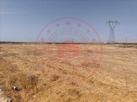 Mardin Artuklu Düzlük Köyü Milli Emlak'tan Satılık 84,38 m2 Tarla