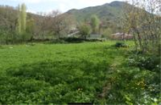 Bitlis Merkez Kireçtaşı (Perhant) Köyü Milli Emlak'tan Satılık 810,19 m2 Tarla