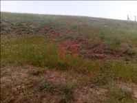 Kırıkkale Keskin Eminefendi Köyü Milli Emlak'tan Satılık 400,00 m2 Tarla