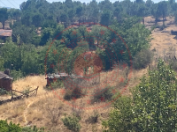 Amasya Merkez Kayabaşı Köyü Milli Emlak'tan Satılık 1.620,60 m2 Tarla