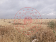 Malatya Akçadağ Ören Milli Emlak'tan Satılık 1.001,82 m2 Arsa