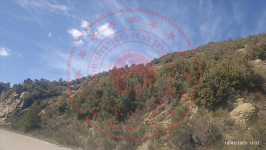 Isparta Merkez Direkli Köyü Milli Emlak'tan Satılık 11.173,03 m2 Tarla