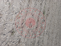 Eskişehir Alpu Büğdüz Mahallesi Milli Emlak'tan Satılık 4.775,15 m2 Tarla