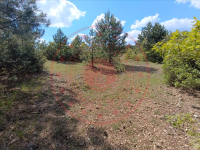 Bursa Keles Durak Mahallesi Milli Emlak'tan Satılık 737,22 m2 Tarla