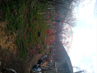 Amasya Merkez Kızseki Köyü Milli Emlak'tan Satılık 96,09 m2 Tarla