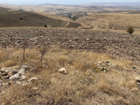 Kayseri Kocasinan Höbek Mahallesi Milli Emlak'tan Satılık 3.590,44 m2 Tarla