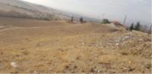 Kırıkkale Merkez Aşağı Mahmatlı Kasabası Milli Emlak'tan Satılık 1.365,00 m2 Arsa
