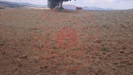 Çorum Ortaköy Cumhuriyet Mahallesi Milli Emlak'tan Satılık 3.165,71 m2 Tarla