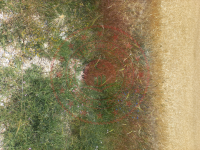 Eskişehir Alpu Büğdüz Mahallesi Milli Emlak'tan Satılık 5.061,10 m2 Tarla