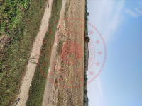 Bursa Mustafakemalpaşa Doğancı Mahallesi Milli Emlak'tan Satılık 20.799,38 m2 Tarla