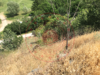 Çorum Kargı Pelitözü Köyü Milli Emlak'tan Satılık 5.288,70 m2 Tarla