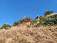 Aydın Nazilli Kestel Köyü Milli Emlak'tan Satılık 581,71 m2 Tarla