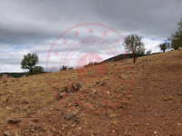 Konya Hüyük Selki Kasabası Milli Emlak'tan Satılık 3.269,56 m2 Tarla