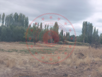 Konya Hüyük Yenice Köyü Milli Emlak'tan Satılık 1.663,05 m2 Tarla